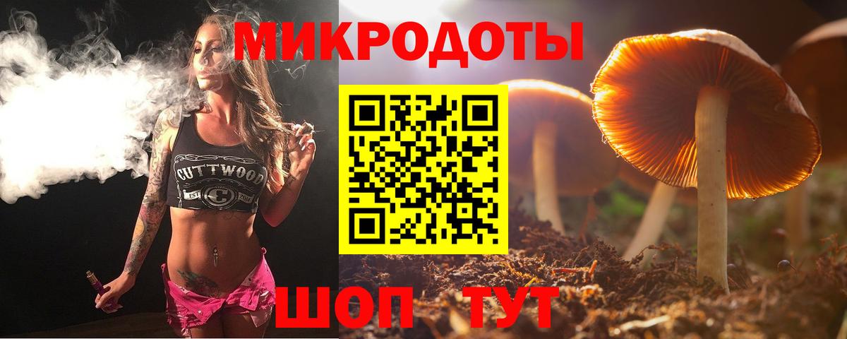Тольятти  Галлюциногенные грибы Cubensis  Псилоцибиновые грибы MAGIC MUSHROOMS  Вход с VPN 